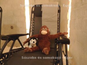 Sószoba, sóhomokozó, somokozó - sóterápia Eger