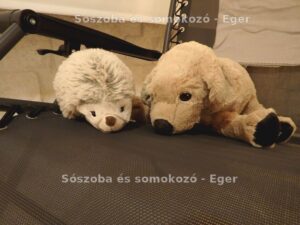 Sószoba, sóhomokozó, somokozó - sóterápia Eger